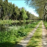 paysage typique du canal du midi, bordé de platanes et de cyprès...