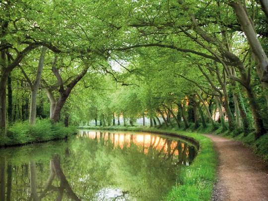 Nature Canal du midi 